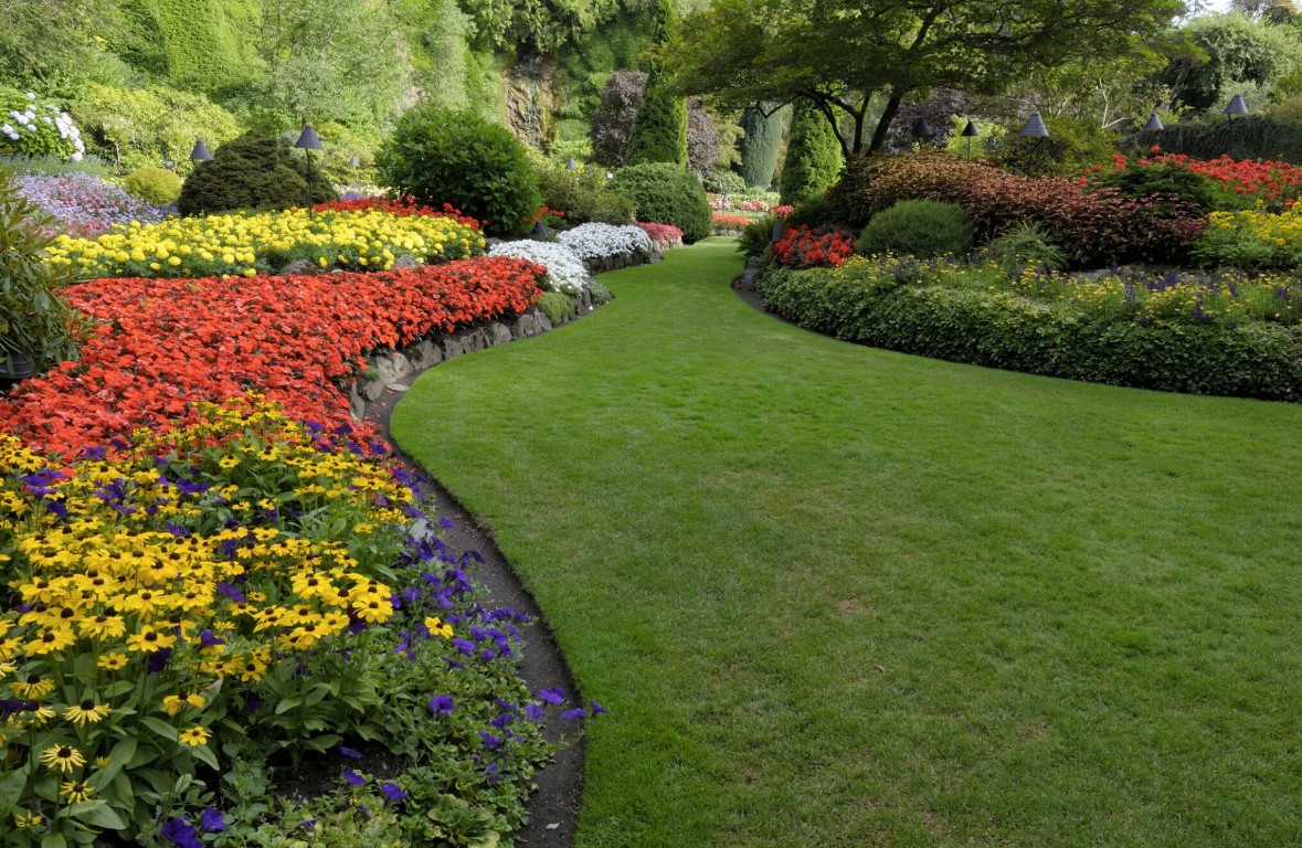 Professional landscaping services in Citrus Heights, CA